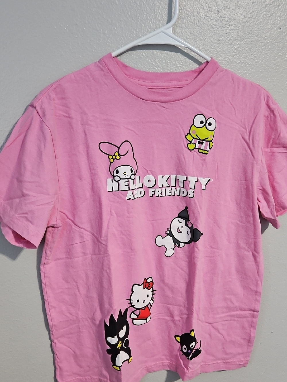 Hello Kitty and Friends Pink T-Shirt
